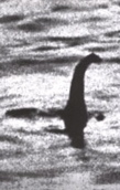 nessie.jpg