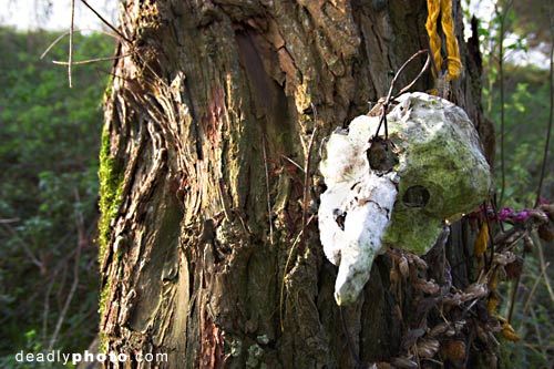 Pagan shrine, source of the River Kennet