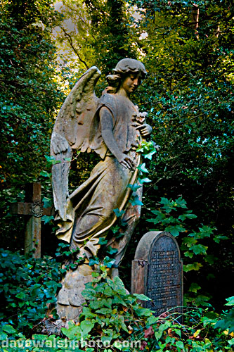 Get Highgate Cemetery prints or high resolution files 