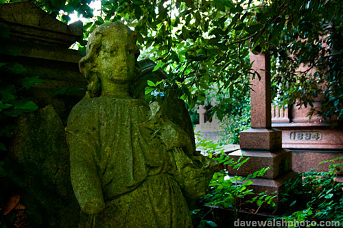 Highgate Cemetery