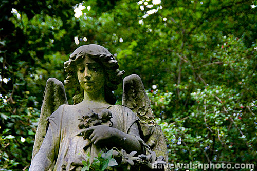 Highgate Cemetery