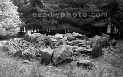 The Wedge Tomb at Ballyedmonduff, Dublin