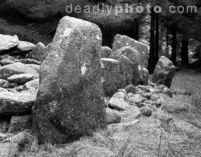 Standing stones