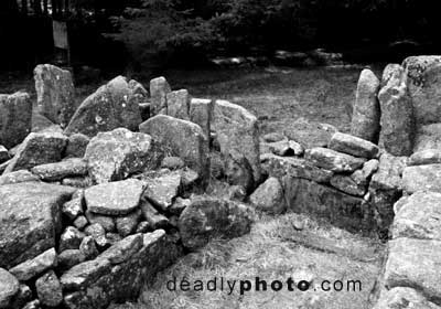 Some of the standing stones