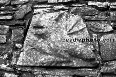 A griffin crest on the wall of the ruined monastery at the hill of Slane