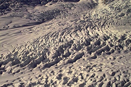 Fox Glacier, New Zealand. Copyright 2004 Dave Walsh