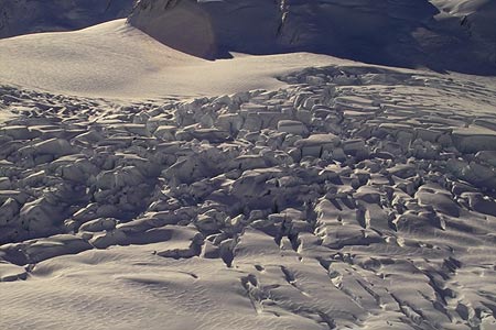 Fox Glacier, New Zealand. Copyright 2004 Dave Walsh