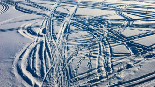 Confusion of Snowmobile tracks.