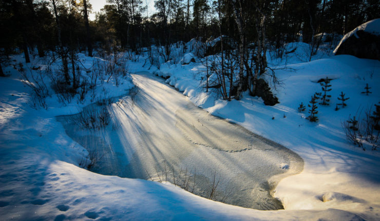 Animal tracks near frozen pond near Inari, Lapland, Finland. © Dave Walsh 2005