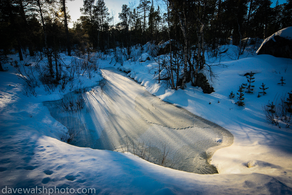 Animal tracks near frozen pond near Inari, Lapland, Finland. © Dave Walsh 2005