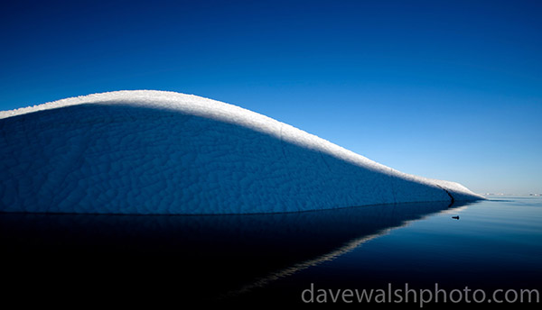 Climate Change in the Arctic: Iceberg from Humboldt Glacier, Kane Basin, Nares Straight, Green