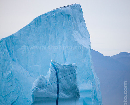 Arctic Iceberg, Kangderluqussuaq, Greenland