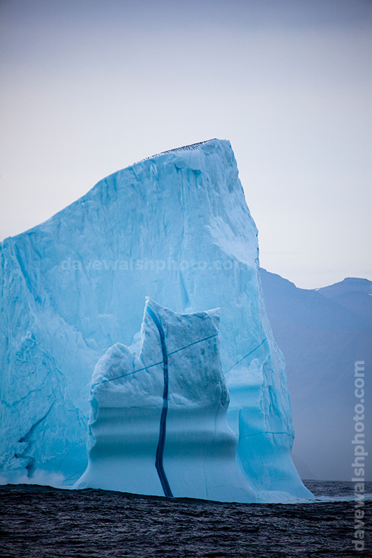 Arctic Iceberg, Kangderluqussuaq, Greenland