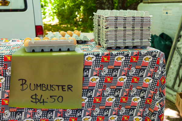 "BBumbuster" eggs for sale