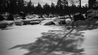 Curved shadow in the snow