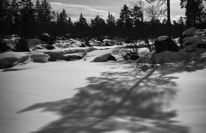 Curved shadow in the snow