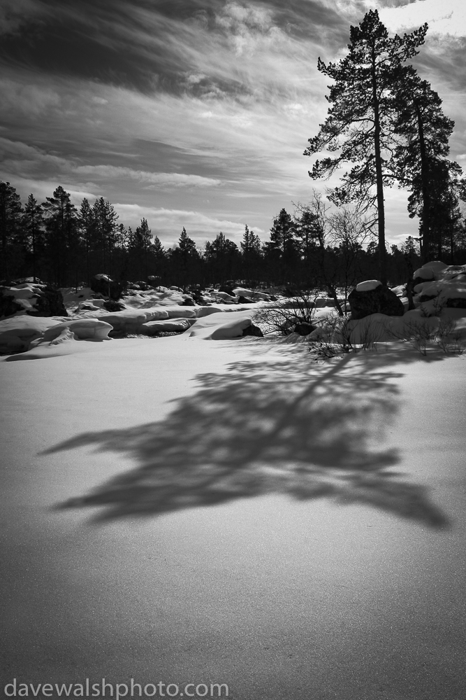 Curved shadow in the snow