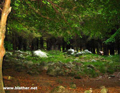 Kilmashogue Wedge Tomb