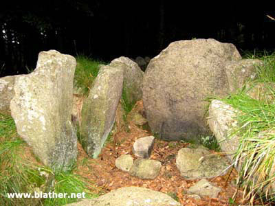 Kilmashogue Wedge Tomb