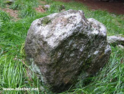 Kilmashogue Wedge Tomb