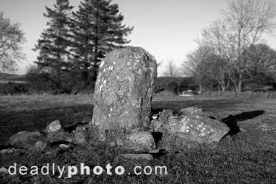 Moneystown Standing Stones. Copyright 2004 Dave Walsh