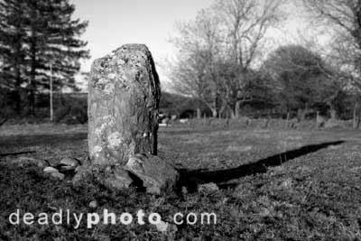 Moneystown Standing Stones. Copyright 2004 Dave Walsh