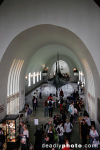 Viking Museum, Oslo