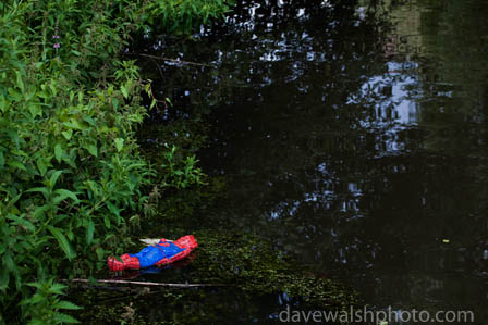 Dead spiderman, facedown in a canal, Amsterdam