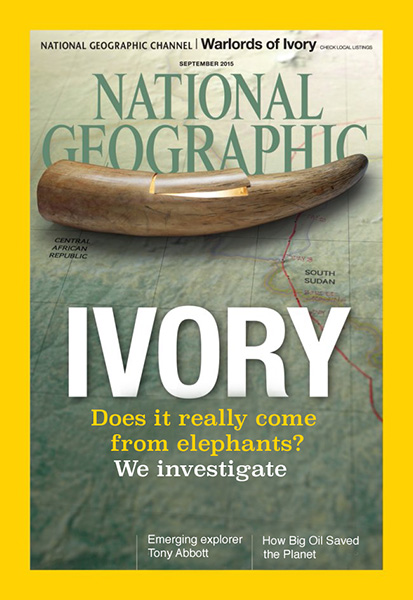 Ivory - does it really come from elephants?