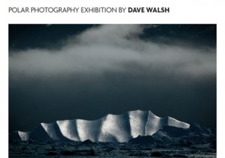 Dave Walsh: The Cold Edge