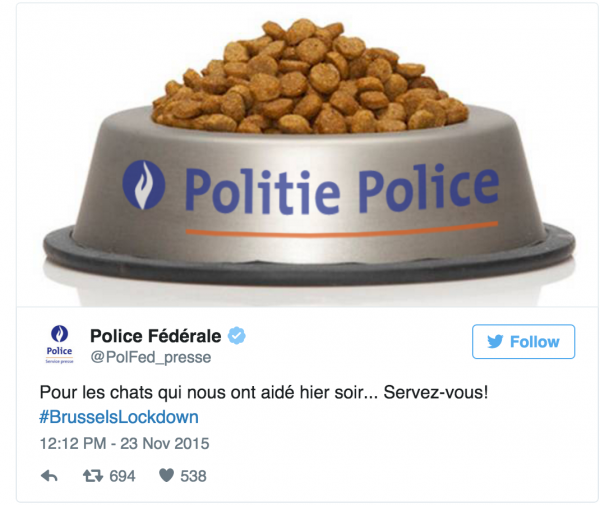 Brussels Lockdown, Federal Police Cat Meme