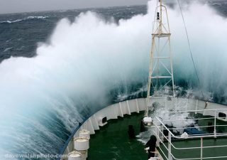 Greenpeace ship Esperanza in the Southern Ocean