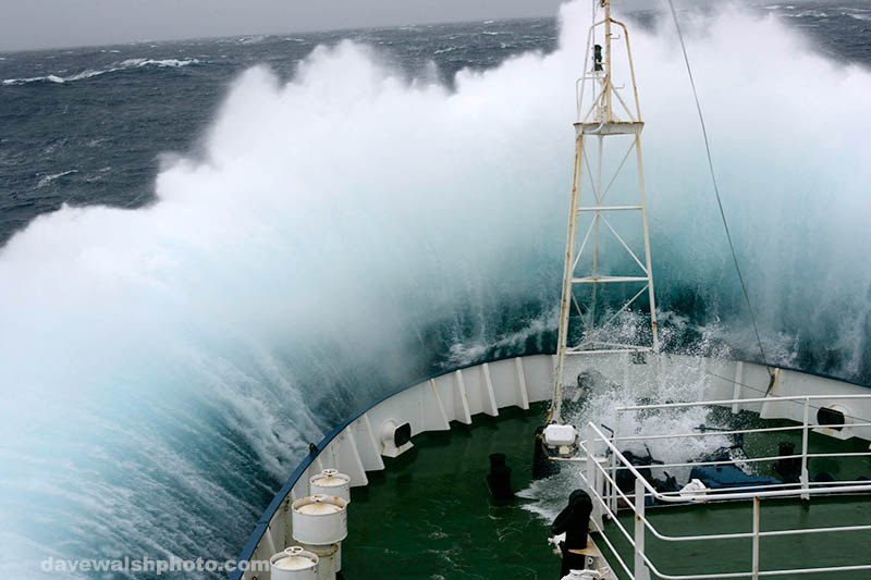 Greenpeace ship Esperanza in the Southern Ocean