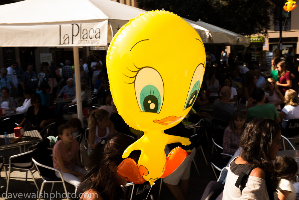 Tweety bird, Piolin, Catalan hero